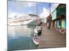 Golden Princess Cruise Ship Docked in St. John's, Antigua, Caribbean-Jerry & Marcy Monkman-Mounted Photographic Print