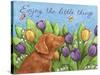 Golden Pup Enjoy Tulips-Melinda Hipsher-Stretched Canvas