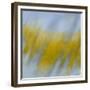 Golden Rain-Jeremy Annett-Framed Giclee Print