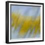 Golden Rain-Jeremy Annett-Framed Giclee Print