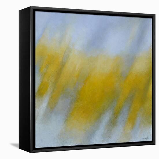 Golden Rain-Jeremy Annett-Framed Stretched Canvas