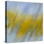 Golden Rain-Jeremy Annett-Stretched Canvas