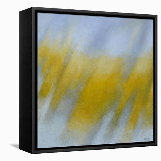 Golden Rain-Jeremy Annett-Framed Stretched Canvas