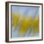 Golden Rain-Jeremy Annett-Framed Giclee Print