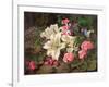 Golden-Rayed Lily of Japan, 1869-William Ford-Framed Giclee Print