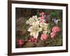 Golden-Rayed Lily of Japan, 1869-William Ford-Framed Giclee Print