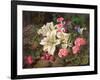 Golden-Rayed Lily of Japan, 1869-William Ford-Framed Giclee Print