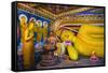 Golden Reclining Buddha at Temple of the Tooth (Temple of the Sacred Tooth Relic) in Kandy-Matthew Williams-Ellis-Framed Stretched Canvas