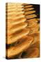 Golden Reflection II-Kathy Mahan-Stretched Canvas