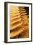 Golden Reflection II-Kathy Mahan-Framed Photographic Print