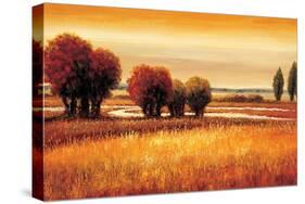 Golden Reflections I-Gregory Williams-Stretched Canvas
