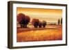 Golden Reflections I-Gregory Williams-Framed Premium Giclee Print