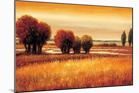 Golden Reflections I-Gregory Williams-Mounted Art Print