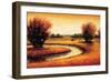 Golden Reflections II-Gregory Williams-Framed Premium Giclee Print