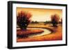 Golden Reflections II-Gregory Williams-Framed Premium Giclee Print