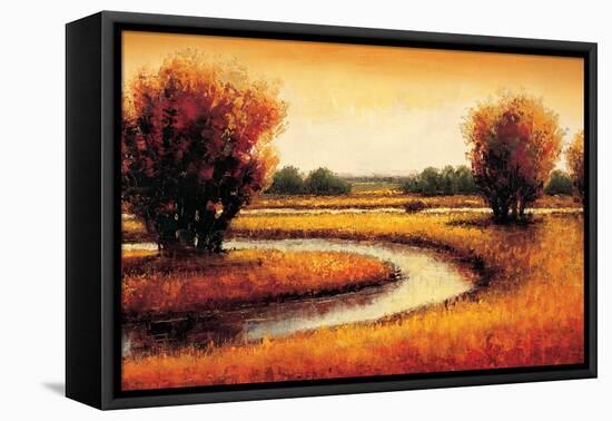 Golden Reflections II-Gregory Williams-Framed Stretched Canvas