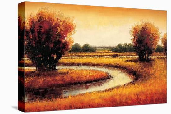 Golden Reflections II-Gregory Williams-Stretched Canvas