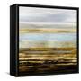 Golden Reflections-Allie Corbin-Framed Stretched Canvas