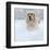 Golden Retreiver in Winter Snow-null-Framed Art Print