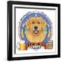 Golden Retriever Beer Label-Tomoyo Pitcher-Framed Giclee Print