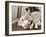 Golden Retriever Dog Adopts Kittens, 1964-null-Framed Premium Photographic Print