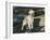 Golden Retriever Dog on Coast, Maine, USA-Lynn M. Stone-Framed Photographic Print