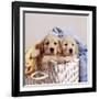 Golden Retriever Dog Two Puppies in Laundry Basket-null-Framed Photographic Print