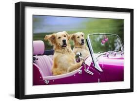 Golden Retriever Dog, Two Valentine Dog Couple in Car-null-Framed Photographic Print