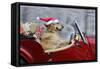 Golden Retriever Dog Wearing Father Christmas-null-Framed Stretched Canvas