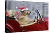 Golden Retriever Dog Wearing Father Christmas-null-Stretched Canvas