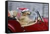 Golden Retriever Dog Wearing Father Christmas-null-Framed Stretched Canvas