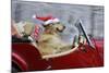 Golden Retriever Dog Wearing Father Christmas-null-Mounted Photographic Print