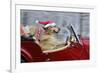 Golden Retriever Dog Wearing Father Christmas-null-Framed Photographic Print