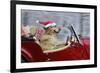 Golden Retriever Dog Wearing Father Christmas-null-Framed Photographic Print