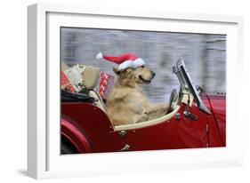 Golden Retriever Dog Wearing Father Christmas-null-Framed Photographic Print