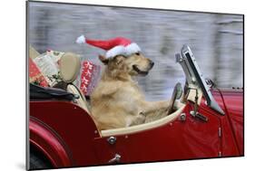 Golden Retriever Dog Wearing Father Christmas-null-Mounted Photographic Print