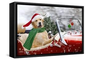 Golden Retriever Driving Car Collecting Christmas Tree-null-Framed Stretched Canvas