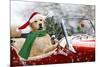Golden Retriever Driving Car Collecting Christmas Tree-null-Mounted Photographic Print
