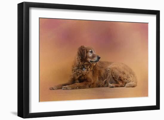 Golden Retriever in the Setting Sun-Jai Johnson-Framed Giclee Print