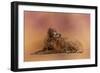 Golden Retriever in the Setting Sun-Jai Johnson-Framed Giclee Print