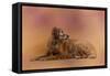 Golden Retriever in the Setting Sun-Jai Johnson-Framed Stretched Canvas