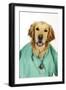 Golden Retriever in Vets Scrubs and Stethoscope-null-Framed Photographic Print