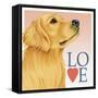 Golden Retriever Love-Tomoyo Pitcher-Framed Stretched Canvas