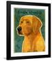 Golden Retriever (NEW)-John W^ Golden-Framed Art Print