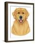 Golden Retriever Portrait-Tomoyo Pitcher-Framed Giclee Print