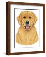 Golden Retriever Portrait-Tomoyo Pitcher-Framed Giclee Print