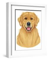 Golden Retriever Portrait-Tomoyo Pitcher-Framed Giclee Print