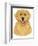 Golden Retriever Portrait-Tomoyo Pitcher-Framed Giclee Print