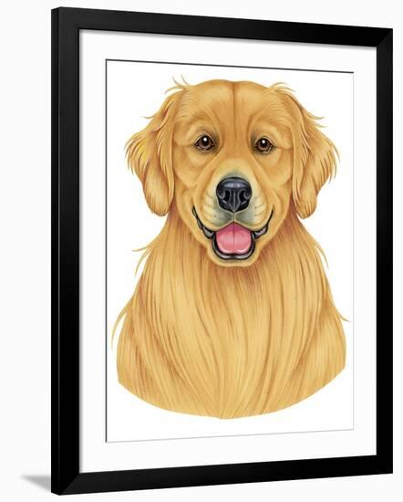 Golden Retriever Portrait-Tomoyo Pitcher-Framed Giclee Print