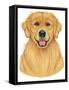 Golden Retriever Portrait-Tomoyo Pitcher-Framed Stretched Canvas